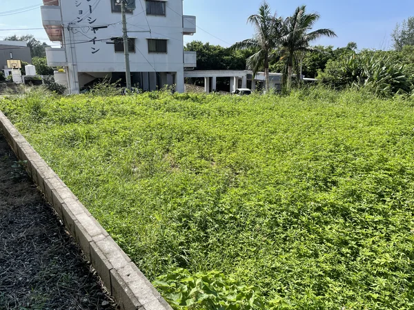 野底地区物件