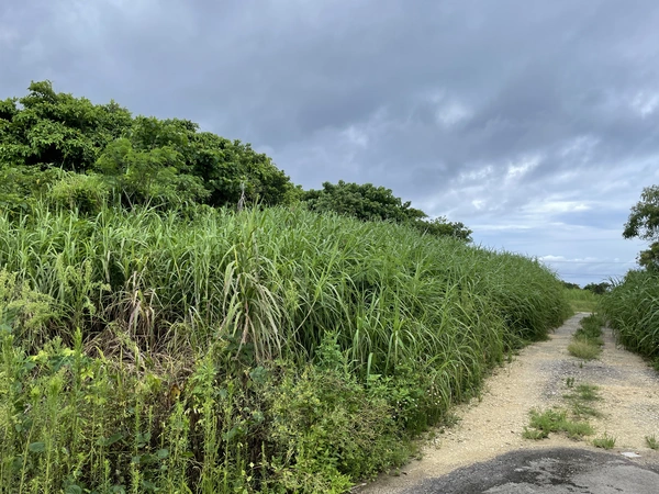 野底売地 up